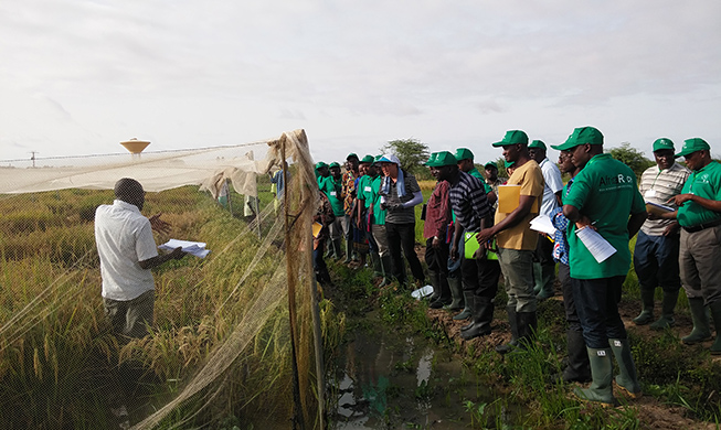 Korean farming, water management systems go global