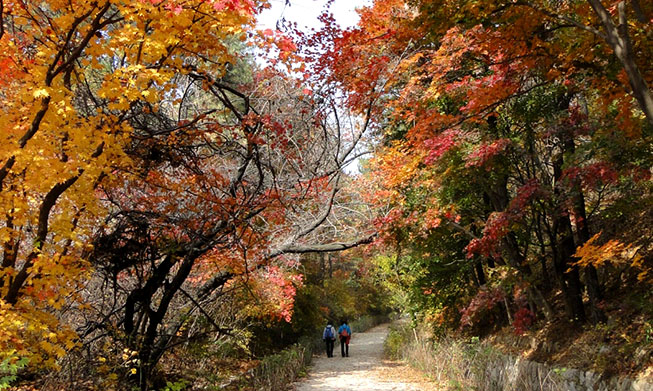 Top 10 national park trails to enjoy this autumn