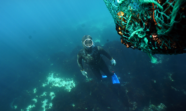 Jeju <i>haenyeo</i> divers added to UNESCO heritage list