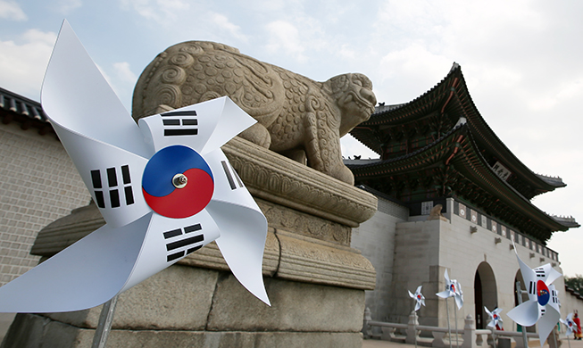 Egypt's love for Korea