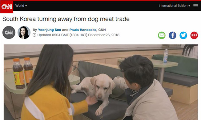 CNN profiles sharp decline in Korea’s dog meat industry