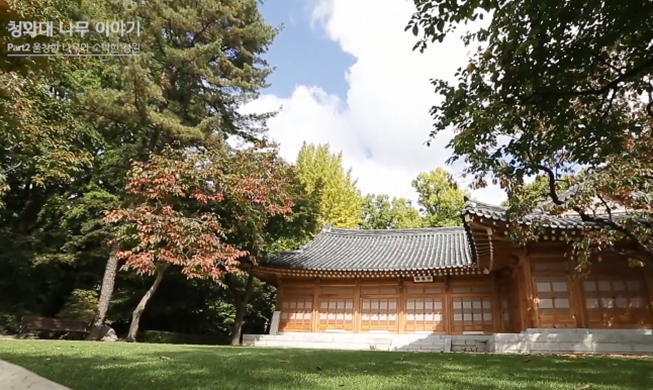 Documentary video features Cheong Wa Dae’s wide variety of beautiful trees