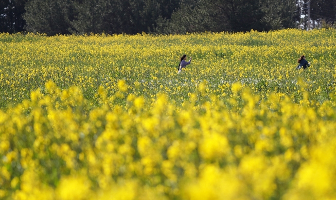 Spring Travel Week to feature unique tours and discounts