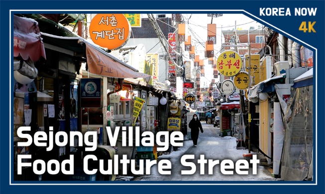 Sejong Village Food Culture Street