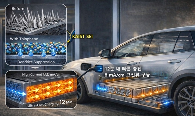 Joint team develops longer lasting, safer lithium metal battery