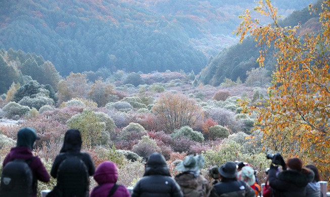 Photographers view frosty fall scenery at Secret Garden