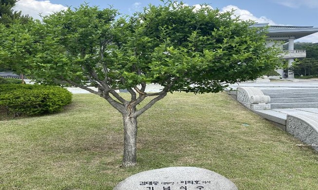 Tour of presidential trees launched at Cheong Wa Dae