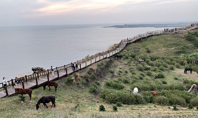 Discovering hidden charms of small villages on Jeju Island