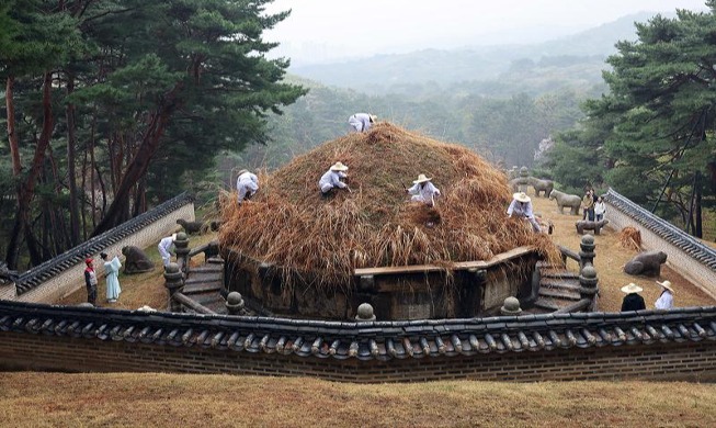 Trimming grass on royal Joseon tomb on Cold Food Day