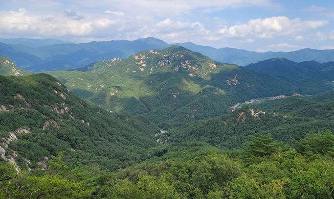 Five national forests added to int'l biodiversity conservation DB