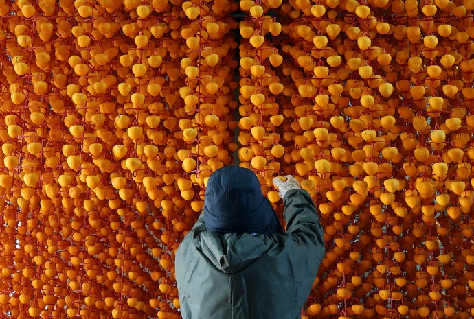 Dried persimmon season