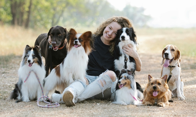 Iksan, Gyeongju designated pet-friendly cities for tourism