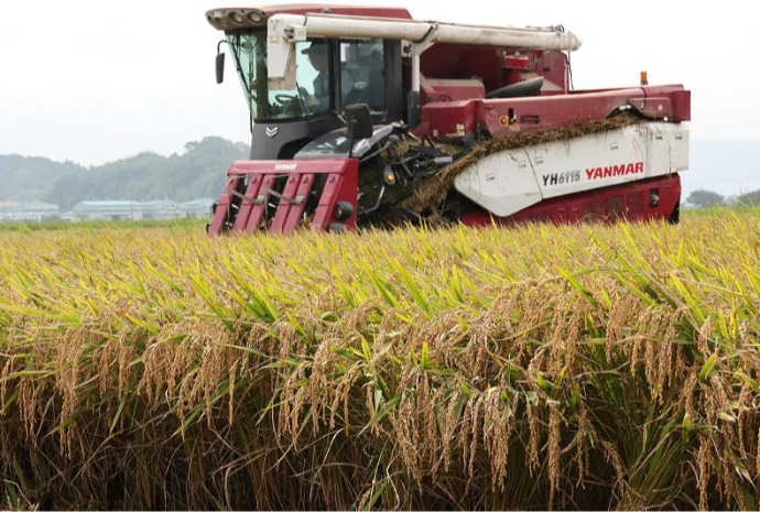 Bustling farming activity amid fall harvest season 