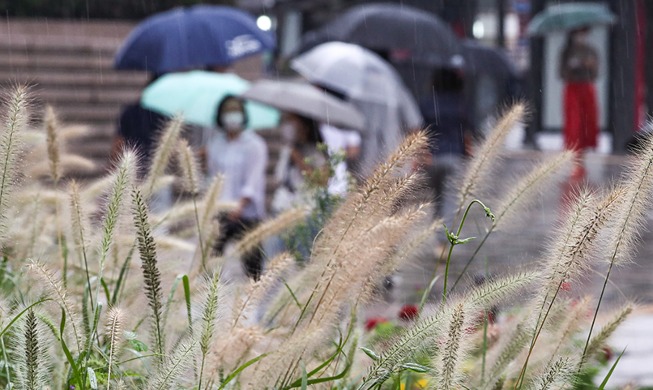 [Korea in photos] Rain signals fall's arrival