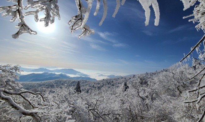 Winter meets spring on the Korean Peninsula