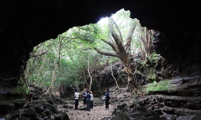 [World Heritage Festival ①] Jeju's volcano-sculpted cave wonders