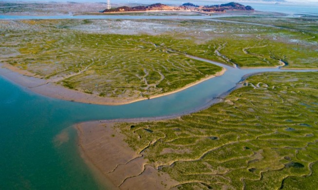 Addition of 4 tidal flats to domestic World Heritage site 'likely'