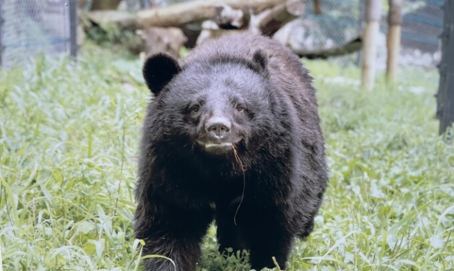 [Animal kin-stinct] ② Sanctuaries: safe havens for rescued animals