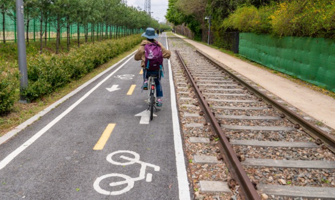 [Walk, Run, Ride in Seoul] ③ Exploring Seoul via public bicycle rentals