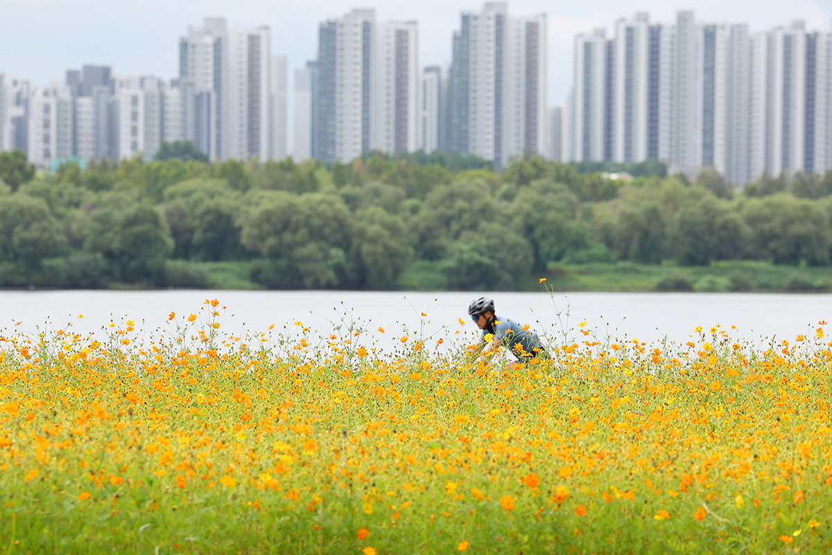 today_photo_250901_