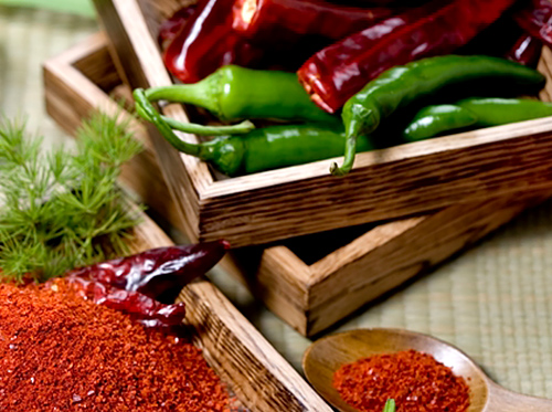 [Korean food festival ④] Sweet-spicy flavor of famed chili pepper